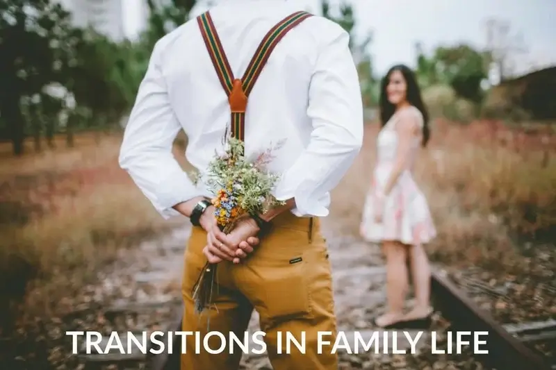 transitions in family life
